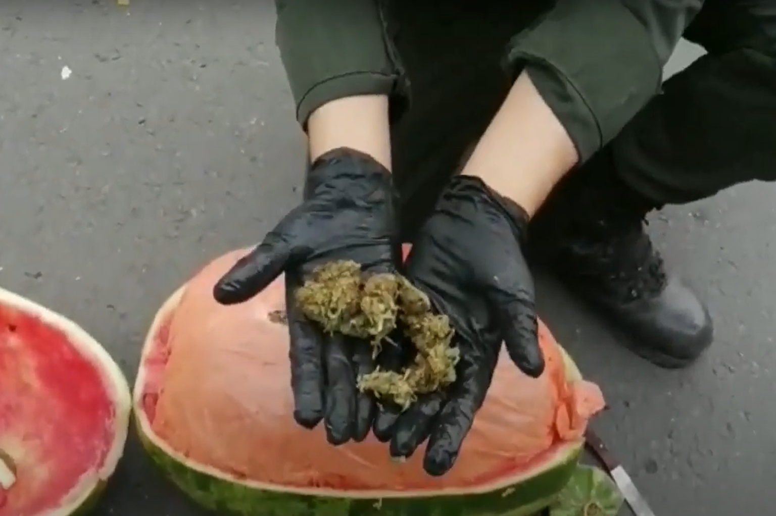 They Tried to Smuggle 1 5 Million Worth of Weed Into Scotland Inside Watermelons