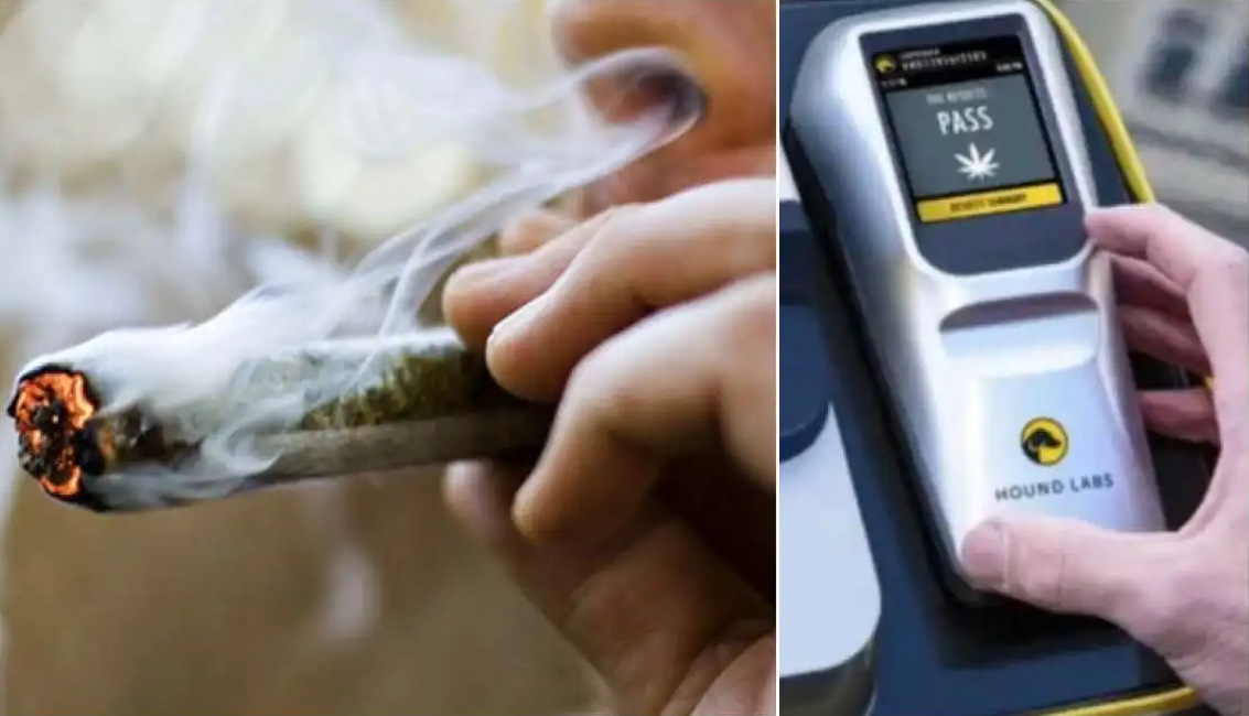 THC Breathalyzer Could Soon Become a Reality