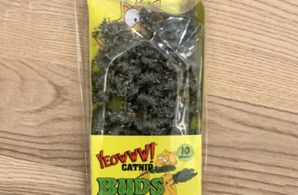 Let Your Cat Get Lit (Naturally) with Yeowww! Catnip Buds