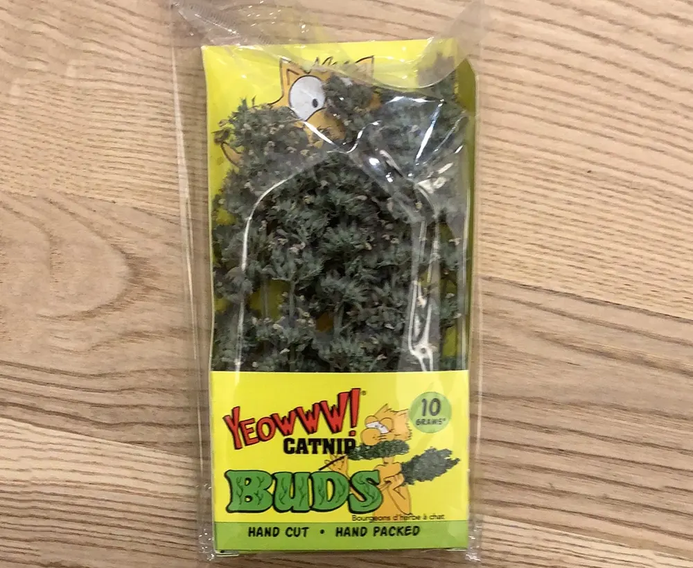 Let Your Cat Get Lit (Naturally) with Yeowww! Catnip Buds