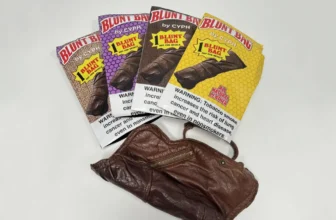 Blaze On the Go with the Blunt Bag by CYⵙH