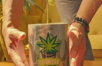 iGrowCan The Just Add Water Grow Kit in a Can