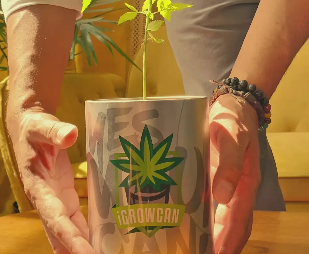 Hook the Legendary Trapper Studio Bass Bowl