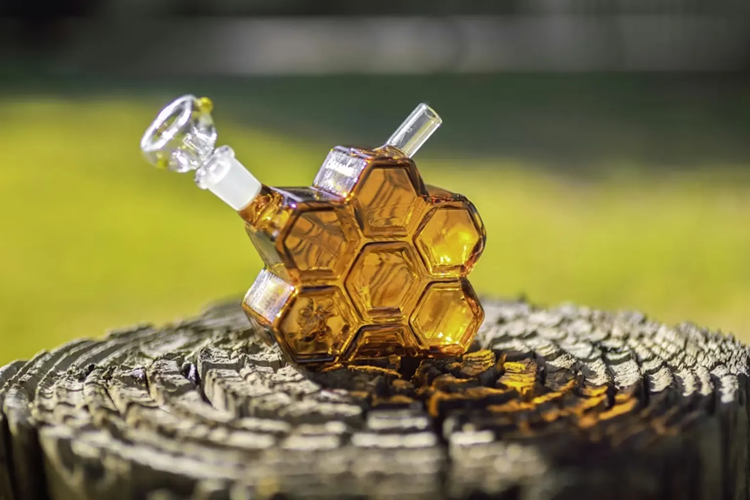 How to Choose the Right Bong — A Beginner’s Guide